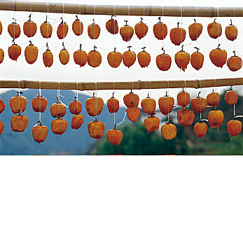 安徽歙县吊在空中晒的柿子
