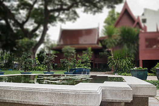 莲花池,正面,传统,花园