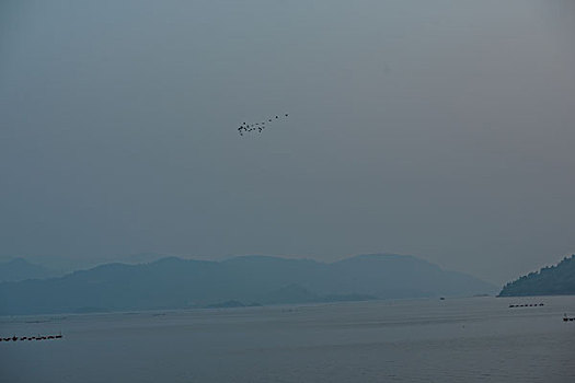 鸟群,天空,飞翔,满天,山,岛,船