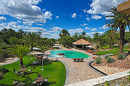 游泳池,旅游,酒店,温得和克,纳米比亚,非洲