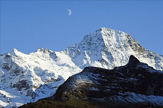 月亮,高处,少女峰,山脉,因特拉肯,瑞士