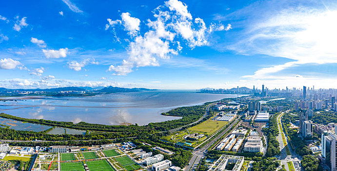 深圳竹子林上空航拍深圳湾,深南大道,南山,福田等城市天际线全景风光