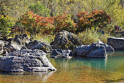 河道,断流,干涸,旱季,石头,河卵石,倒影,植被,自然,风光,本溪,湖里村,秋季,红叶