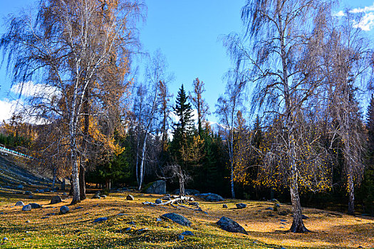 西北第一村白哈巴村秋日盛景