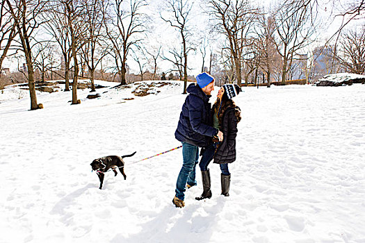浪漫,年轻,情侣,站立,一起,雪中,狗,中央公园,纽约,美国
