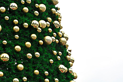特写,圣诞树,背景