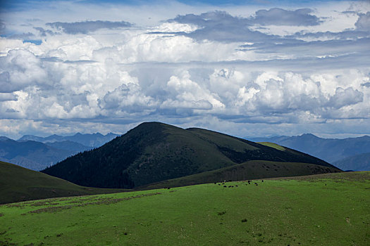 绿水青山