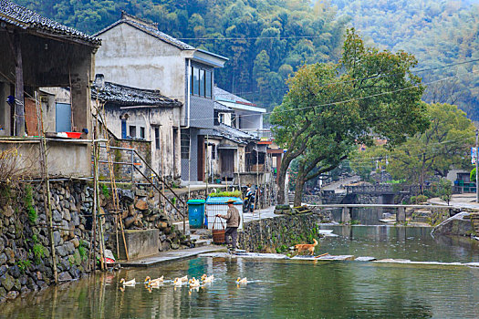 小溪,老房子,山泉,流水