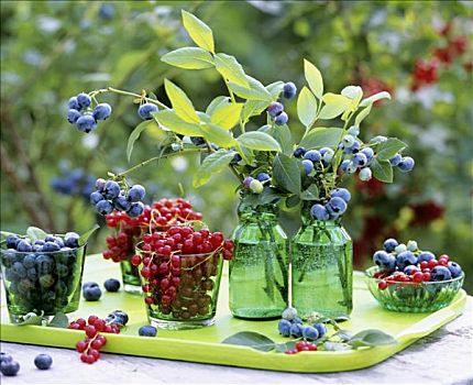 红醋栗,蓝莓,绿色,玻璃,容器