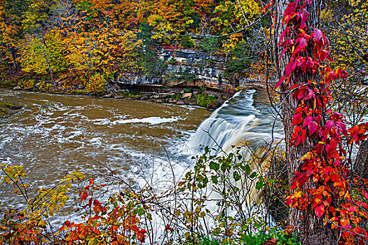瀑布,溪流,秋天,娱乐休闲区,靠近,印地安那,美国