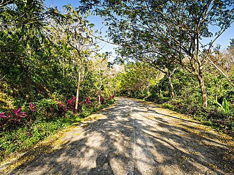 海南省万宁市兴隆热带植物花园景观绿道
