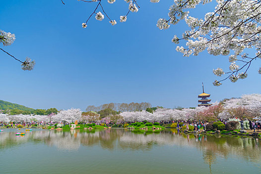 初春东湖樱花园