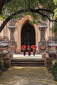 缅甸,蒲甘,新信徒,僧侣,正面,庙宇,画廊
