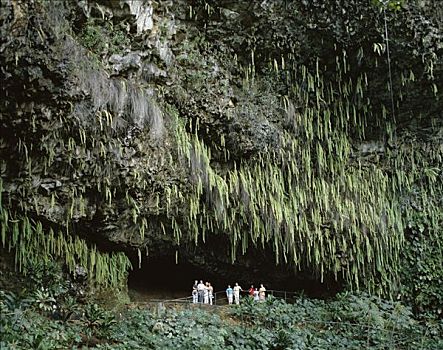 夏威夷,考艾岛,美国