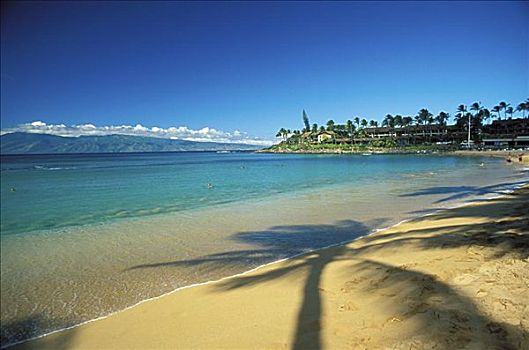 夏威夷,毛伊岛,海滩,平静,青绿色,海洋,棕榈树,影子,沙滩
