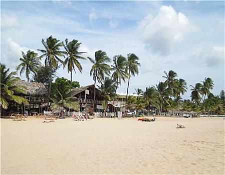 海滩,风景,斯里兰卡