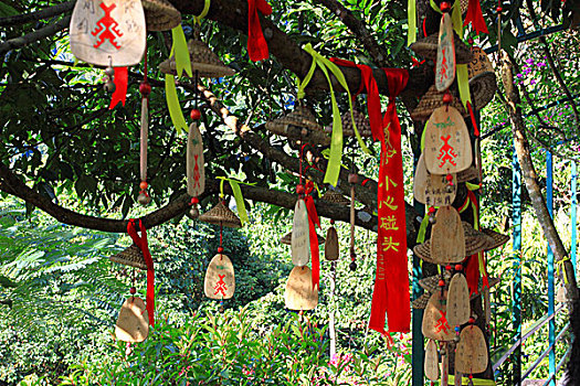 三亚呀诺达雨林文化旅游区