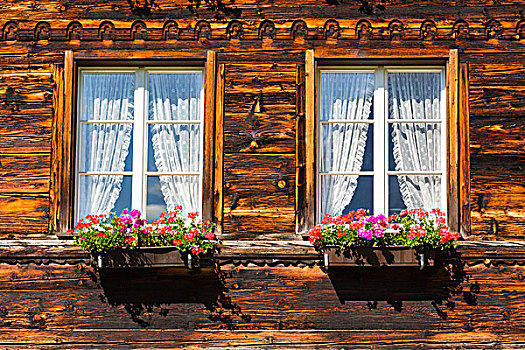 天竺葵,花,盒子,正面,窗户,房子,格林德威尔,伯恩,瑞士