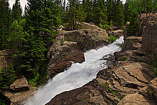 瀑布,流动,树林,落基山国家公园,科罗拉多,美国