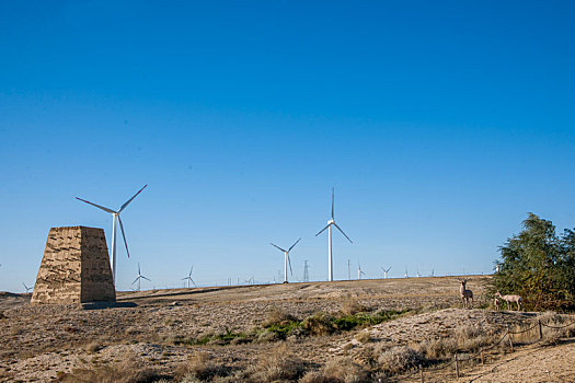 新疆北端阿勒泰地区布尔津县五彩滩风电地场边有马羊雕塑