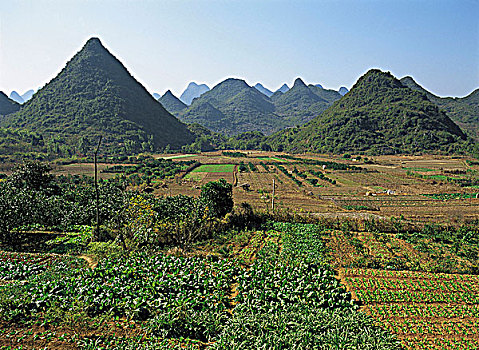 农田,桂林,中国