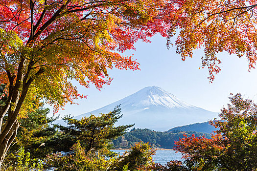 富士山,秋季