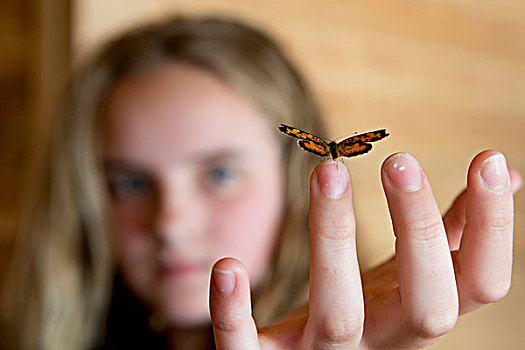 蝴蝶,栖息,指尖,女孩,湖,木头,安大略省,加拿大
