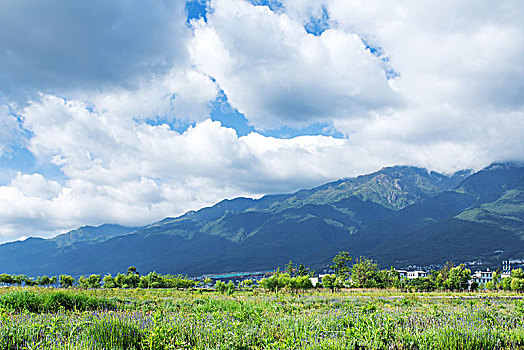 高山草原