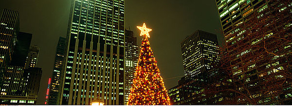 圣诞树,建筑,纽约,美国