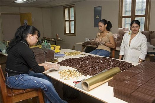 女人,果仁糖,巧克力,庄园,可可,培育,处理,苏克雷,委内瑞拉,南美
