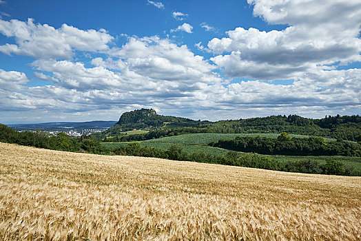 风景,上方,大麦,地点,大麦芽,地平线,火山,地区,康斯坦茨,巴登符腾堡,德国,欧洲