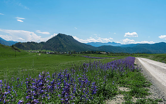 乡村道路,山