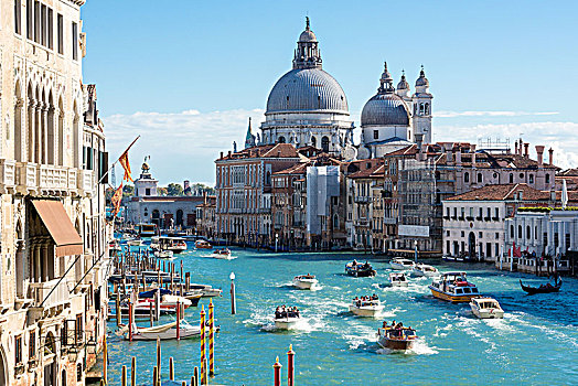 威尼斯,大运河,大教堂,圣马利亚,行礼,船,交通