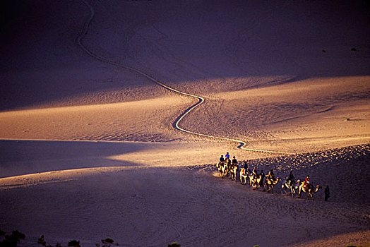 小路,骆驼,驼队,沙漠,敦煌,甘肃,丝绸之路,中国