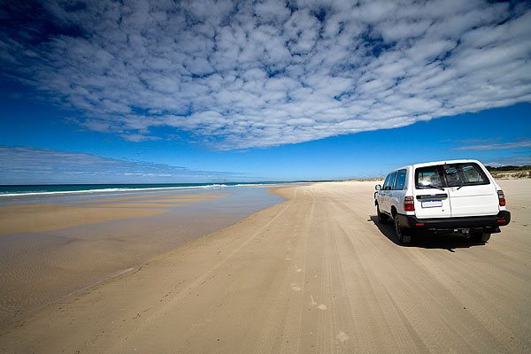 汽车,海滩,摩尔顿岛,昆士兰,澳大利亚