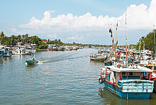 渔船,荷兰人,运河,泻湖,西部,省,斯里兰卡,亚洲
