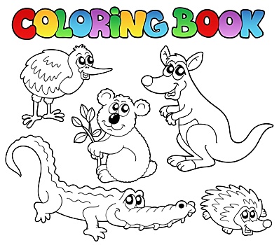 上色画册,澳大利亚,动物