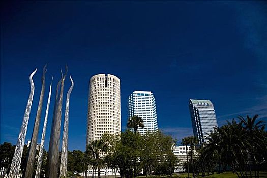 仰视,摩天大楼,城市,植物,公园,坦帕,佛罗里达,美国
