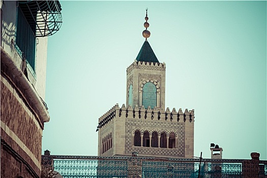 突尼斯,尖塔,大清真寺,橄榄树,麦地那