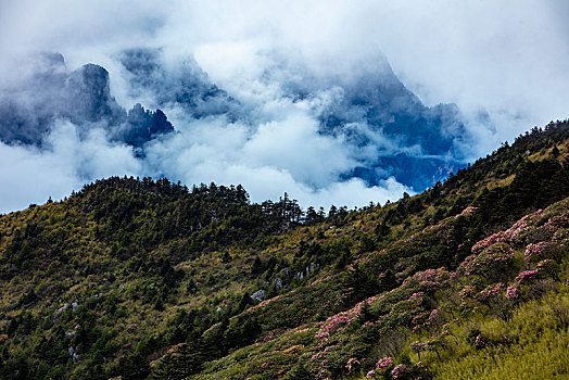 神农架,神农顶,风景,景点,旅游,高山,瀑布,河流,神秘,树木,植被,石头,鄂西,云海,峡谷,壮观