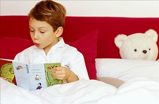 男孩,读,书本,卧,床上,白人,泰迪熊