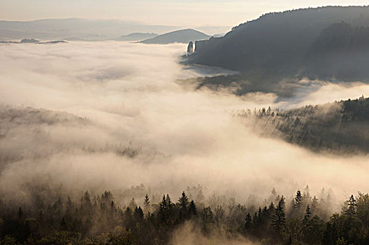 雾,上方,山谷,砂岩,山峦,萨克森,德国,欧洲