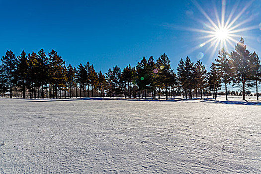 林海雪原