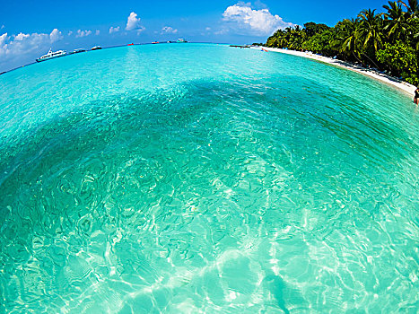 蓝绿色海水,棕榈海滩,鱼眼镜头,环礁,印度洋,马尔代夫,亚洲