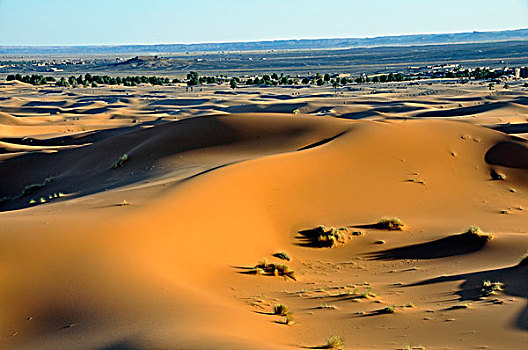 沙漠,沙丘,却比沙丘,摩洛哥,非洲