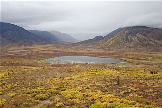 湖,苔原,山谷,墓石地区公园,育空,加拿大