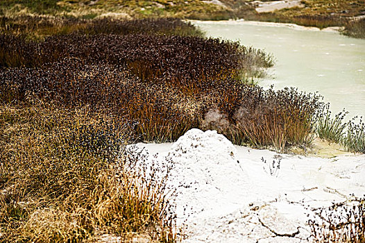 黄石国家公园,yellowstonenationalpark