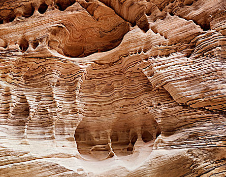 美国,犹他,锡安国家公园,砂岩构造,大幅,尺寸
