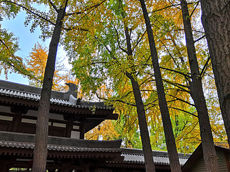 大慈恩寺