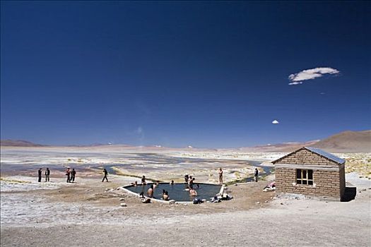 热,湖,水池,高原,玻利维亚,南美